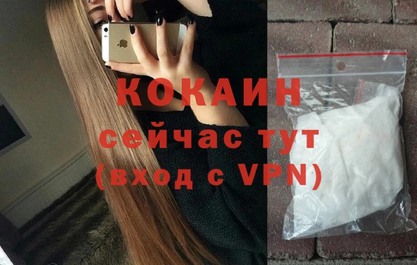 дживик Майский