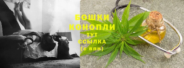 дживик Майский