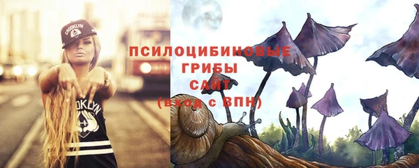 дживик Майский