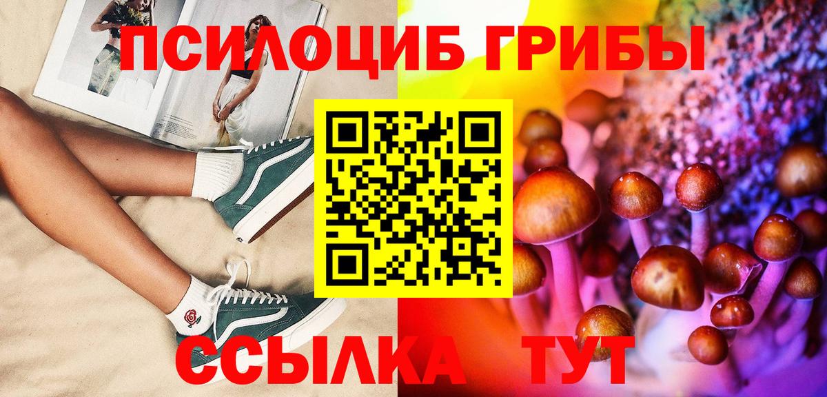 Псилоцибиновые грибы Psilocybine cubensis Заречный