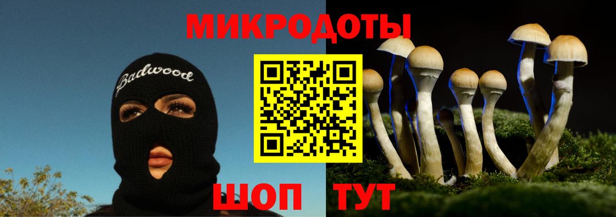 Заречный  Галлюциногенные грибы ЛСД  Вход с VPN 