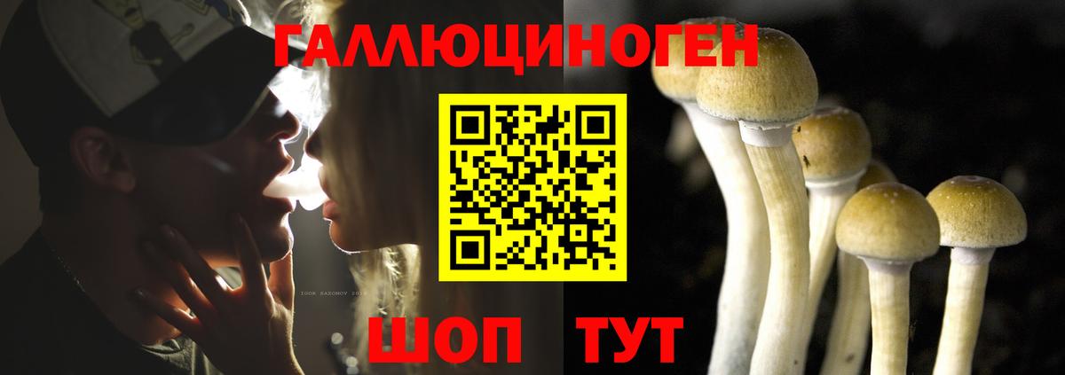 Галлюциногенные грибы прущие грибы Заречный